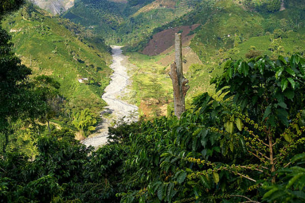 Salento er et smukt område i Colombia