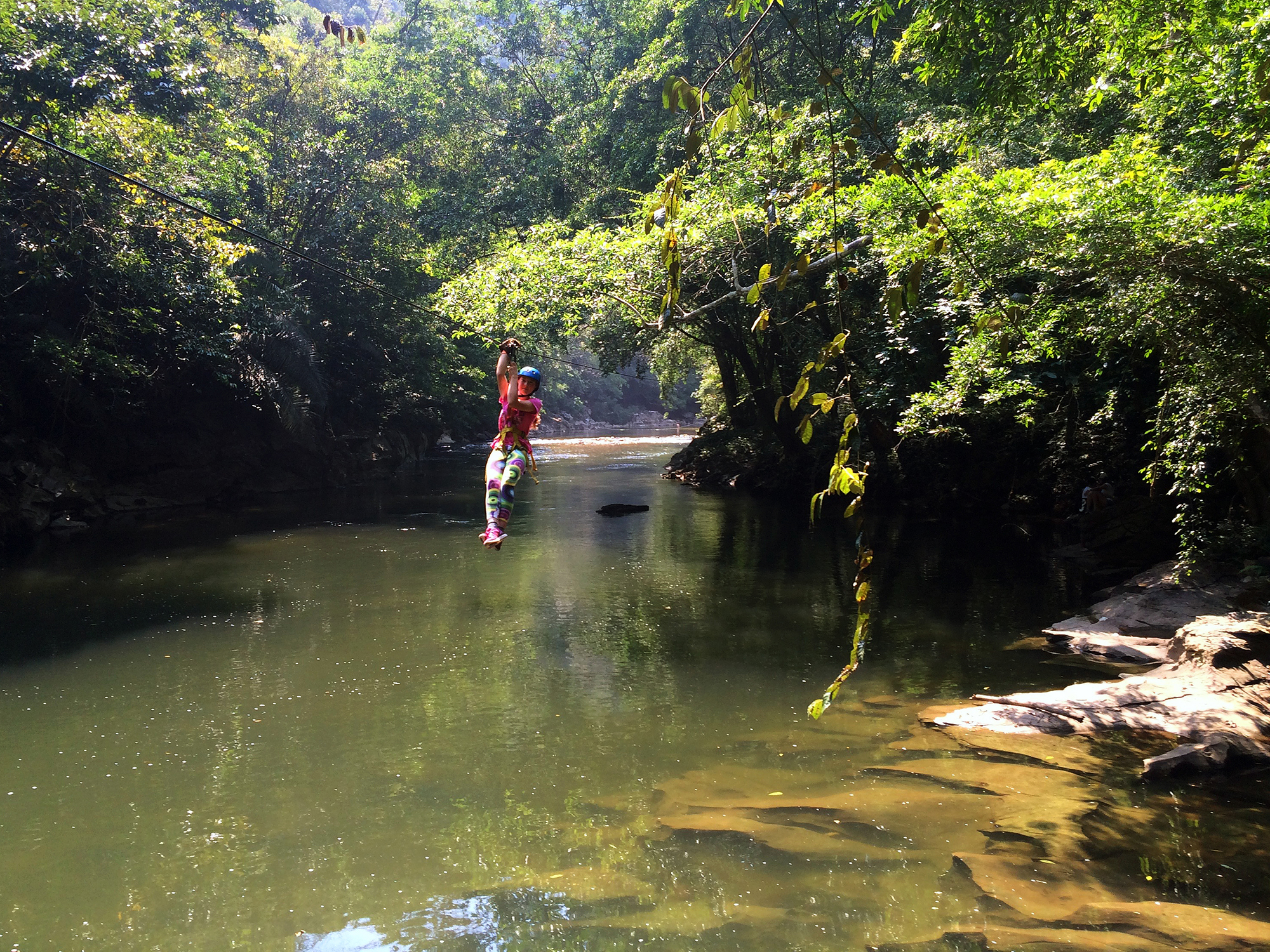 På rejser til Tanzania vil du næsten med garanti opleve de smukke giraffer