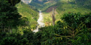 I områder med tæt fauna i Colombia kan der blive meget fugtigt