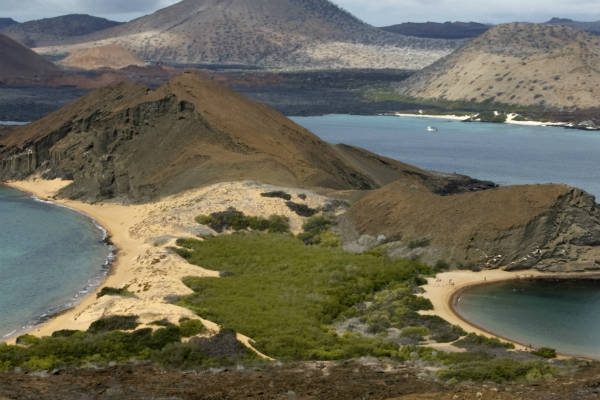 Kombiner din Peru rejse med et krydstogt til Galapagos øerne