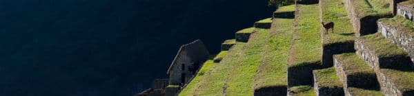 Trek til Machu Picchu vil være dit livs oplevelse