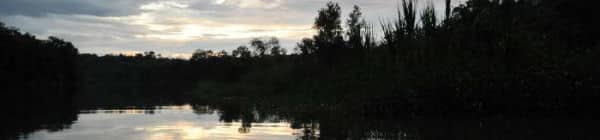 Amazonas i Peru om natten