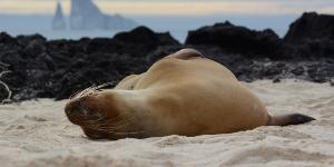 Læs om klimaet inden din rejse til Sydamerika