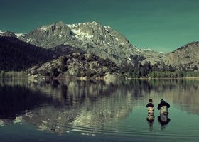 Grupperejser til Nordamerika